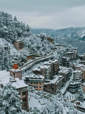 Shimla
